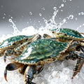 Frozen Whole Swimming Crab